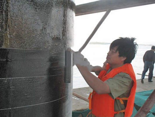 �����ӹ�